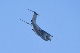 image0736