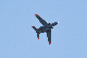 image0737