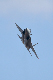 image0764