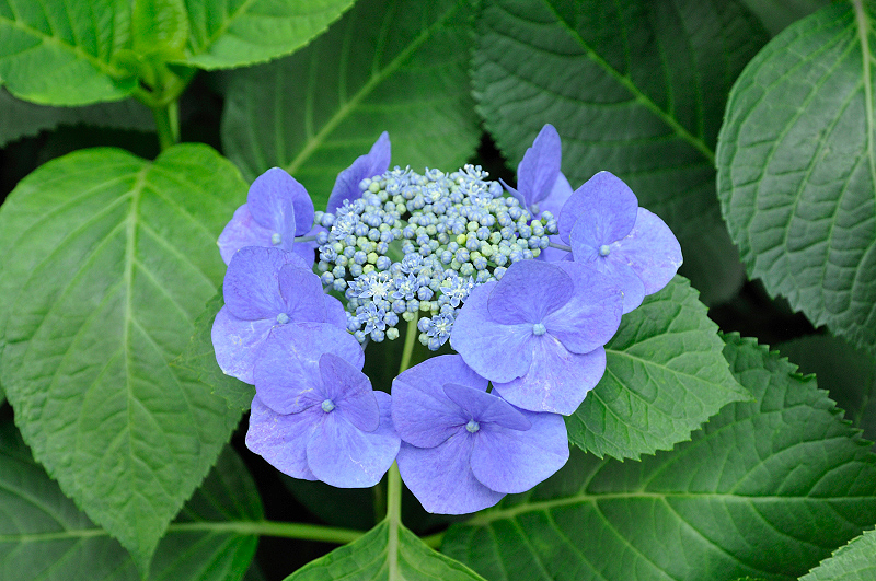 image0110