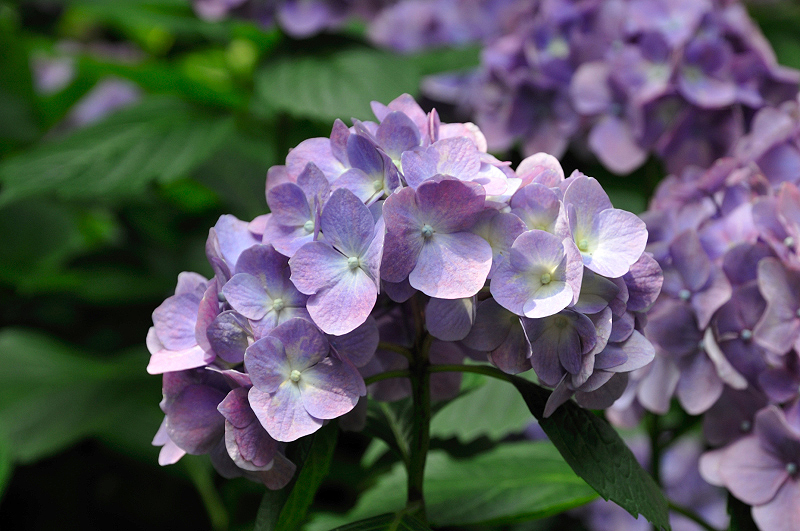 image0135