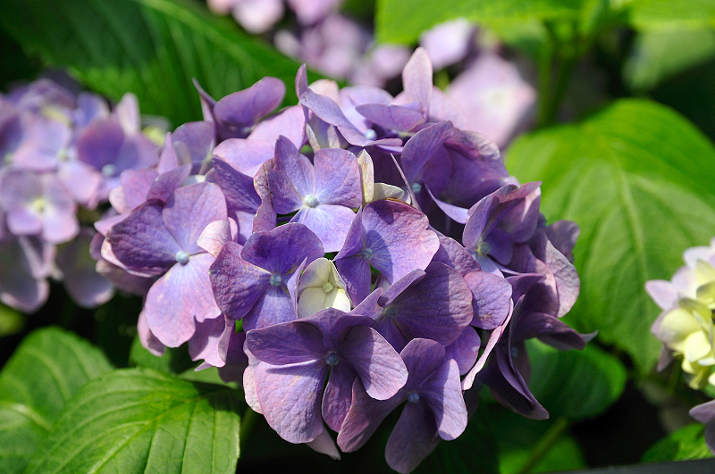 image0136