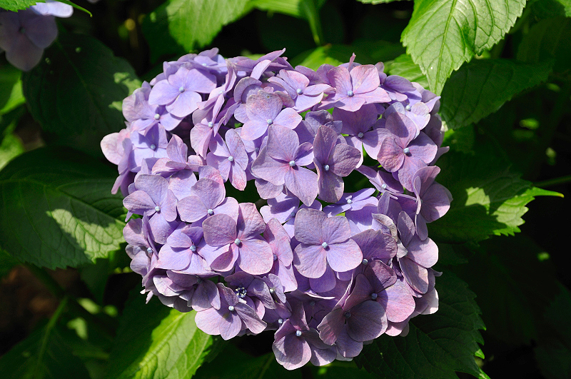 image0137