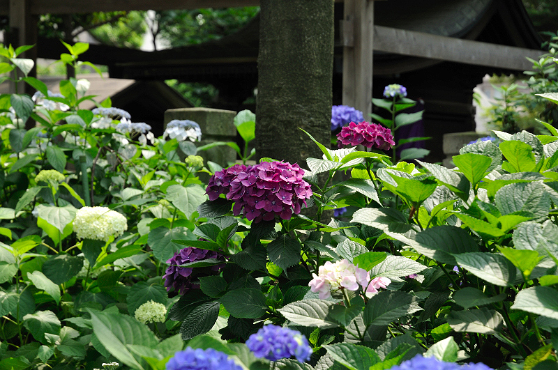 image0138