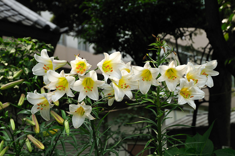 image0140