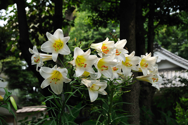 image0141