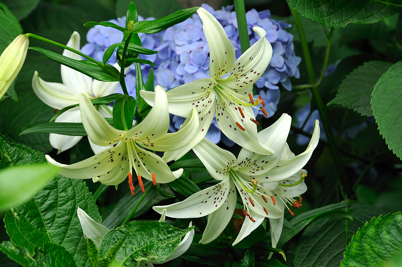 image0142