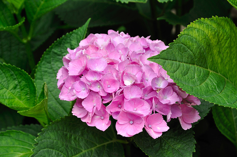image0143
