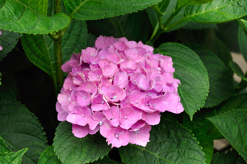 image0144