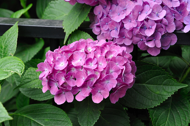 image0145
