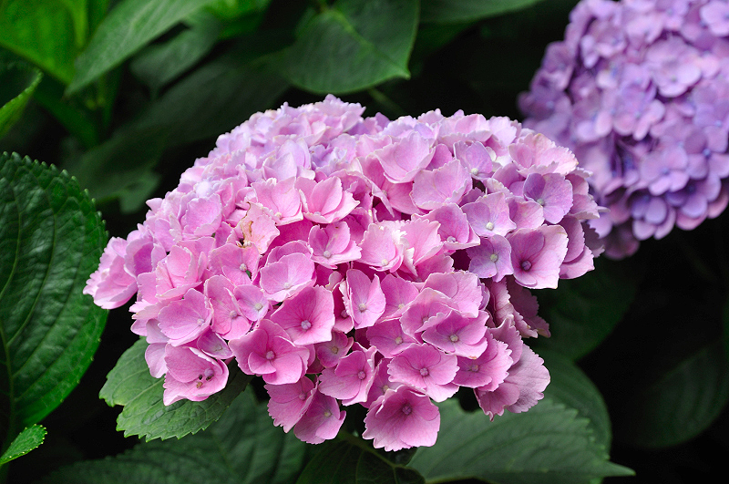 image0147