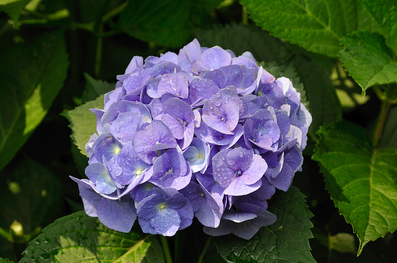 image0149