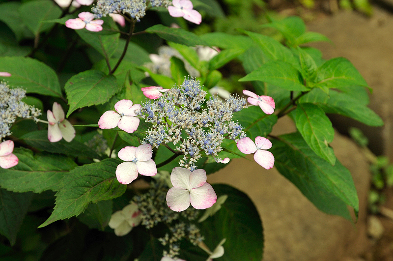 image0151