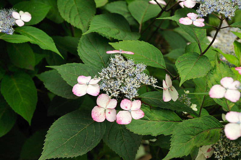 image0152