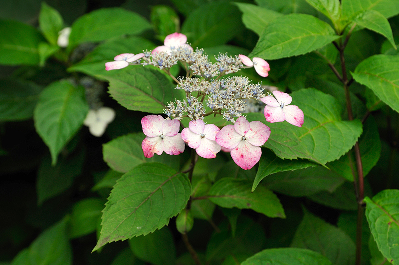image0153