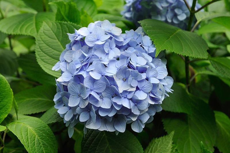 image0155