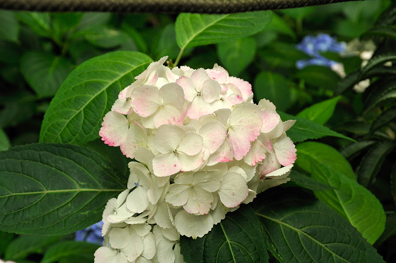 image0156