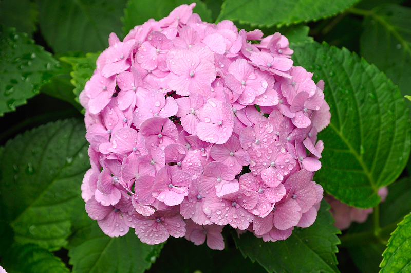 image0157