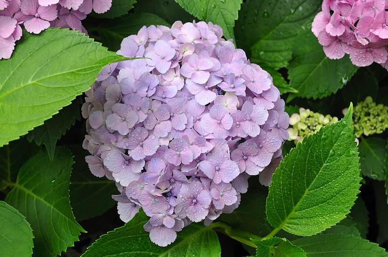 image0158