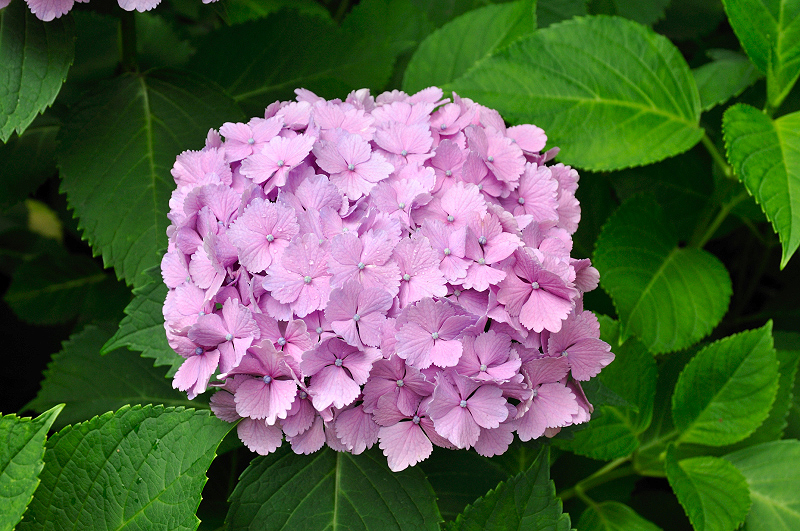 image0159