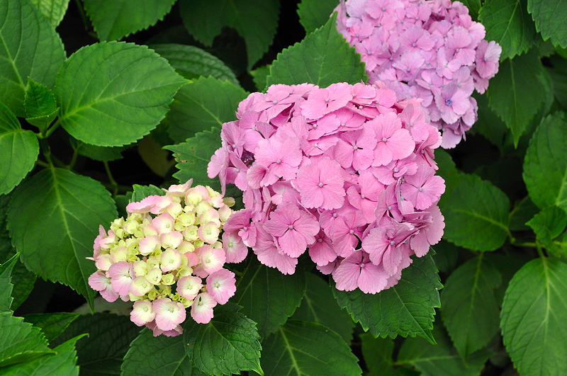 image0160