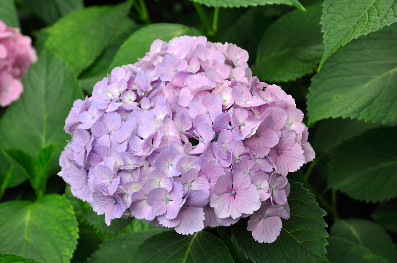 image0161