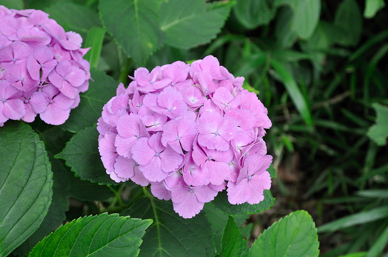 image0162