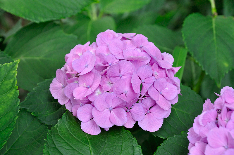 image0163