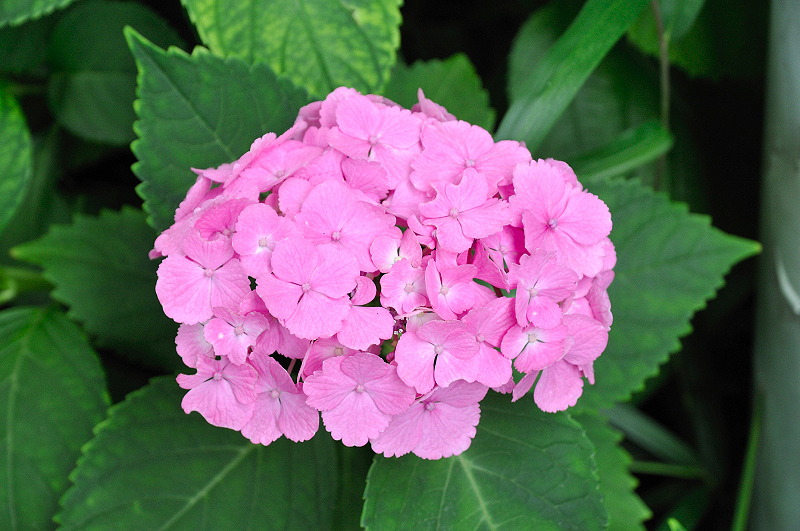 image0164