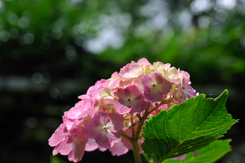 image0168