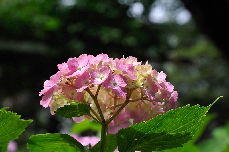 image0169