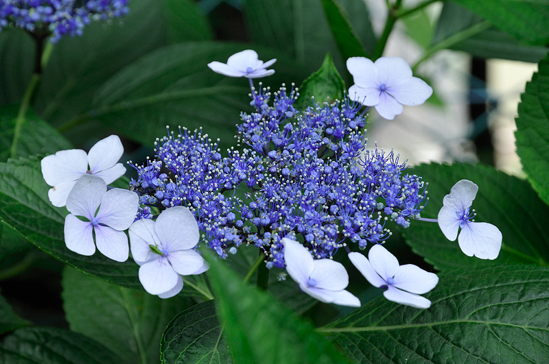 image0170