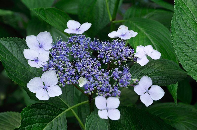 image0171