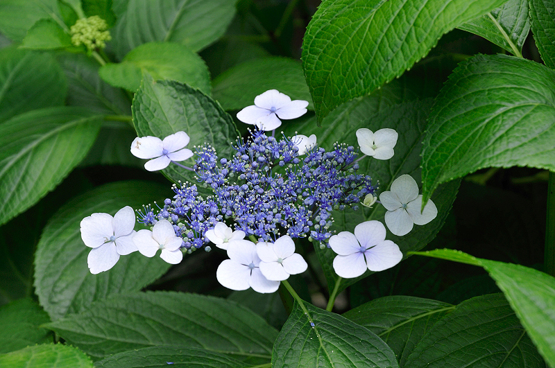 image0173