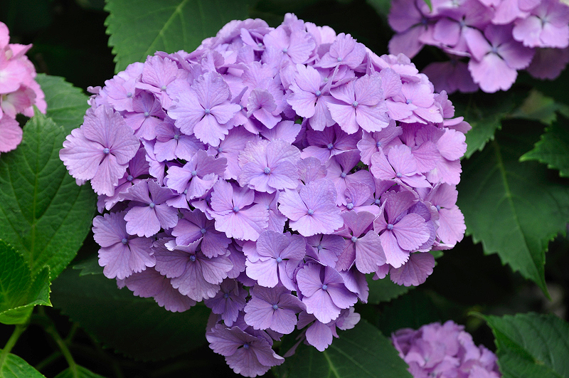 image0175