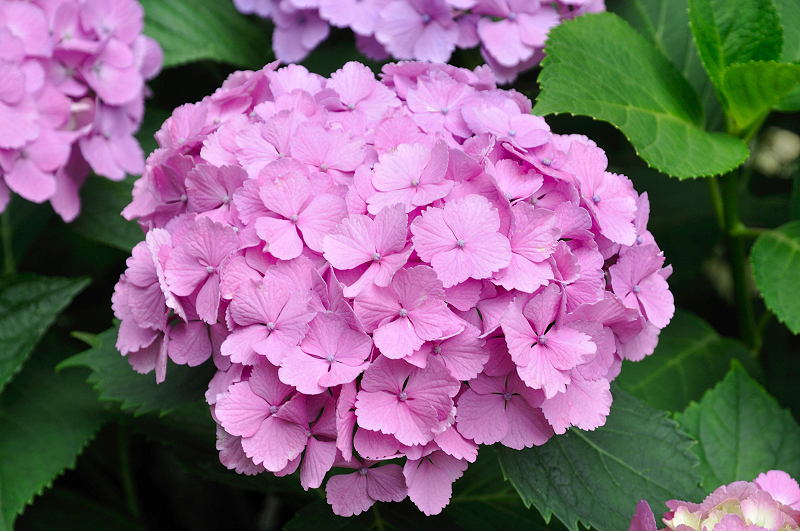image0176
