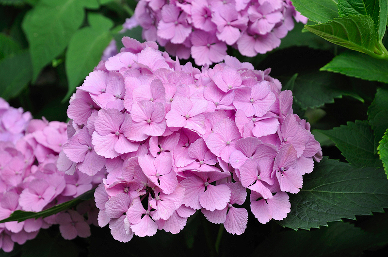 image0177