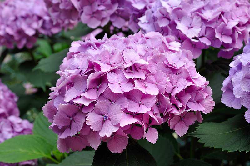 image0180