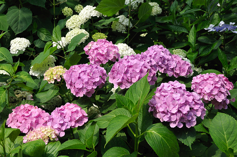 image0181