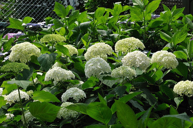 image0182