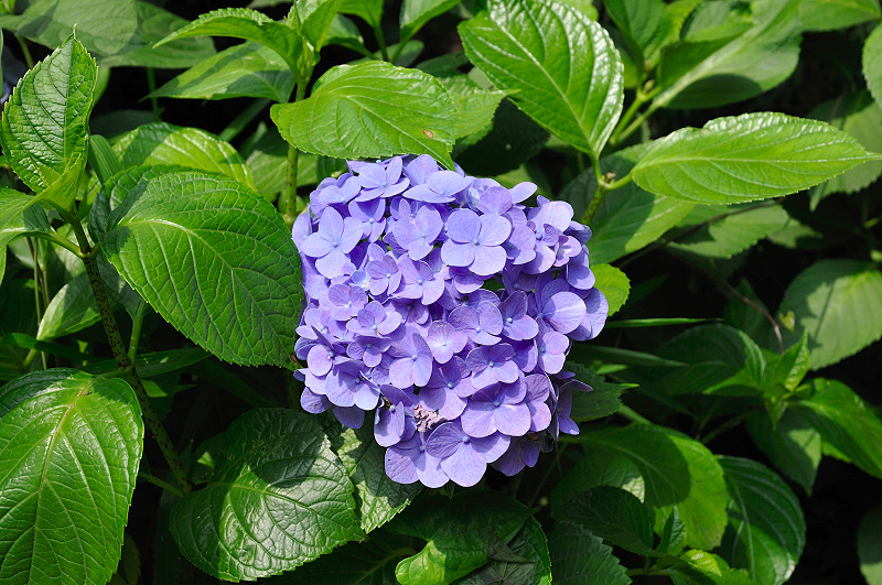 image0183
