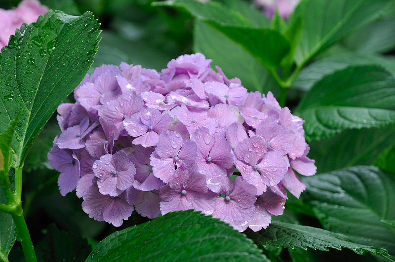 image0186