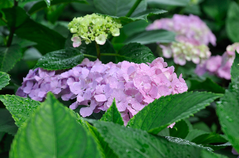 image0187