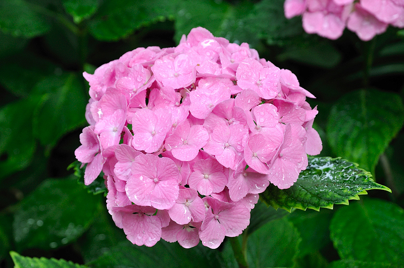 image0188