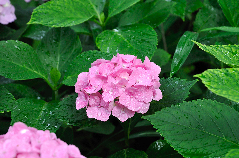 image0189