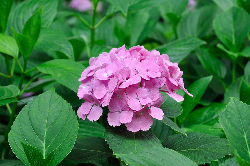 image0192