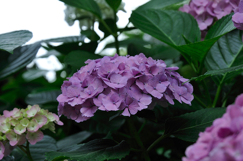image0193