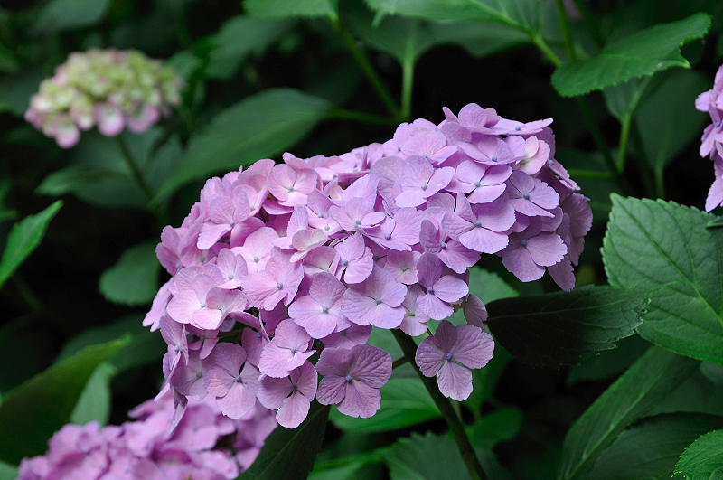 image0195