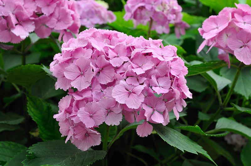 image0197