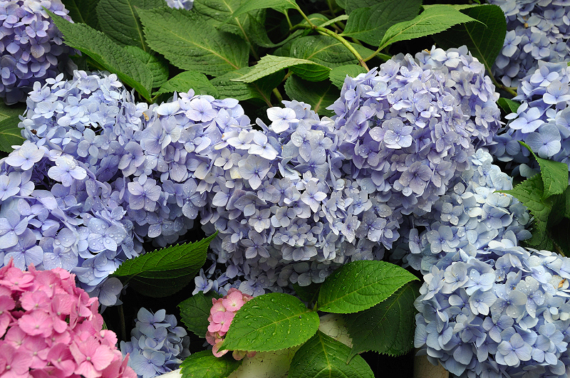 image0200